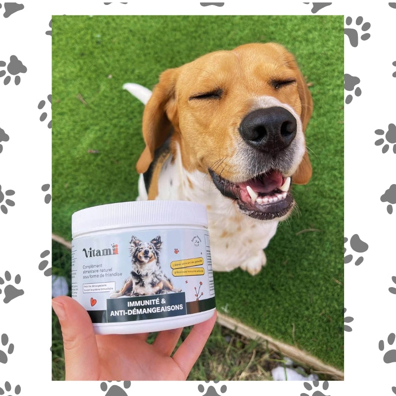 Tratamientos naturales para la inmunidad y la picazón