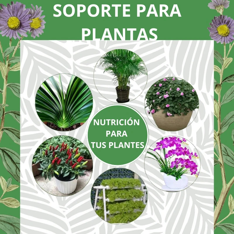 SOPORTE PARA PLANTAS X30 UNIDADES - NUTRICIÓN CONTINUA PARA TUS PLANTAS