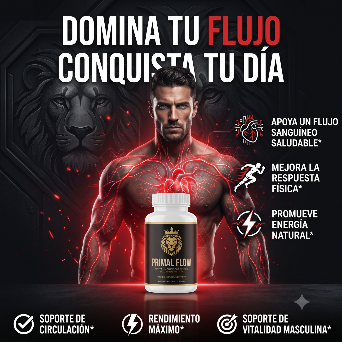 VitalPro | Fuerza y Bienestar Masculino